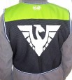 dragon2 back
